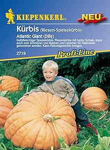 Kiepenkerl, K&uuml;rbis Atlantic Giant