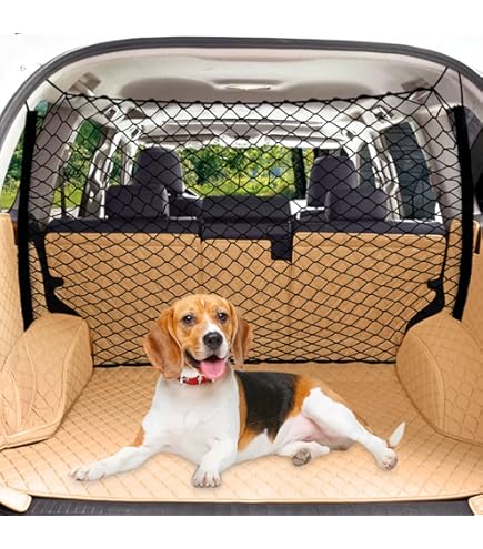 Hondenrek universeel kopen? | Auto interieur accessoires Hondenrek universeel kopen? | Auto interieur accessoires