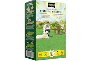 Semillas Batlle Prato ornamentali e resistente