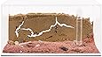 AntHouse - Natürliche Ameisenfarm aus Sand - Acryl Starter Set 20x10x10 cm (Gratis Ameisen)