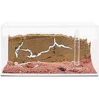 Ameisenfarm aus natürlichem Sand - Acryl Starter Set 20x10x10 (Gratis Ameisen) e