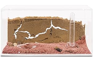 AntHouse - Fattoria di formiche di sabbia naturale - Set di base in acrilico 20x10x10 cm (formiche gratuite)