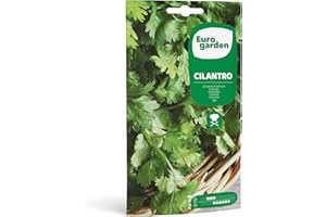 SEMILLAS FITÓ Eurogarden - Semillas de Cilantro, Planta culinaria aromática, 15 g - 1712