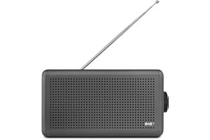 Nordmende Transita 210 – Tragbares DAB+ & UKW Digitalradio (Portable Musikbox mit Bluetooth Lautsprecher, Outdoor Radio mit Akku & Uhr)