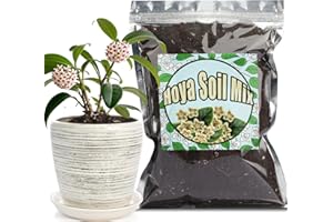 GOTVUGE Mélange de terre pour Hoyas, mélange individuel à la main, adapté pour les plantes Hoya plantées en intérieur et en extérieur en pots (10 l)