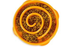 Outward Hound Fun Feeder Slo-Bowl - Gamelle d'alimentation Lente Anti-glouton pour Chien - Taille M/Mini - Orange