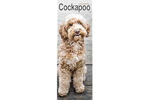 Cockapoo Slim 2026 Calendar | Slimline Wall Calendar | Dog Breed Gift | Plastic Free Packaging | by Avonside Publishing