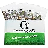 Semi germoglio GREEN Packs INIZIA A GERMOGLIARE nr.4 conf. pronte all’uso da 32gr MISCELA di SEMI selezionati da Germoglio di