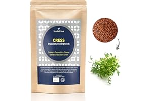 Verdant Republic Organic Cress sprouting Seeds common curled 250gram. Non-GMO, easy to sprout & high germination into Microgreens in 10 Days