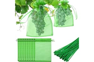 HEAWAA 60 bolsas de protección de uvas con 60 encuadernadores para plantas, 20x30 cm, bolsas de protección con cordón, bolsas de organza verde, grandes para protección contra avispas y otros insectos