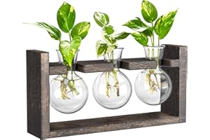 IVOLADOR I Ivolador Plants Terrarium Glass Bulb Terrarium with Retro Solid Wooden Stand for Hydroponics Plants Desktop Home Garden Wedding Décor (3 Bulbs-Brown)