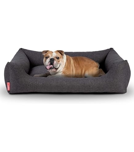 trockenfutter für allergie hunde Sensitivity Trockenfutter für Hunde mit Allergien | Futter für empfindliche  Hunde