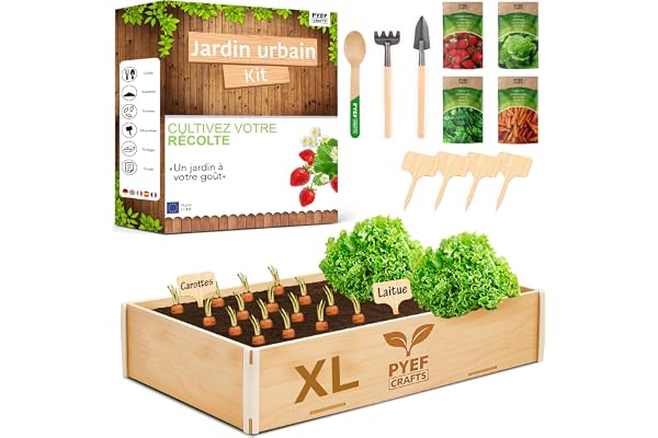 PYEF CRAFTS Kit Jardinage Potager Interieur XL Kit Indoor Prêt à Pousser - DIY Potager D'interieur pour Plante a Faire Pousser - Plantation Plantes D'intérieur