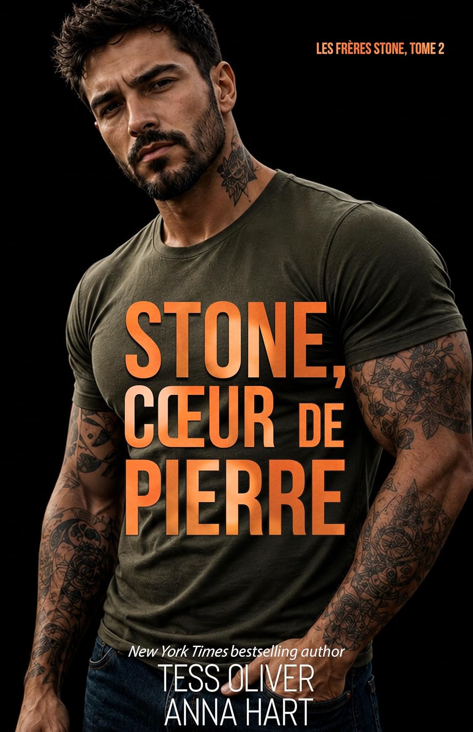 Stone, froidement dangereux (Les Frères Stone t. 1) - Analyse des détails et conception