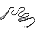 Amazon Basics Double Handle Light Reflecting Dog Leash | 6 Feet/ 182 cm | Black | Strong Hook for Training and Walking Dogs | 2 Padded Handles