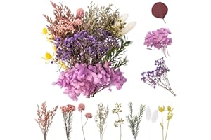 LAUMOE Fleurs Séchées, Fleurs Sechees Naturelles Fleur Séchée pour Bougies Fleurs Sechees Fleurs Séchées Vrac Fleur Sechees Decoration pour Bricolage Résine Epoxyn Art DIY Artisanale Scrapbooking