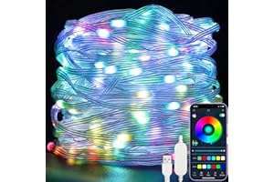 Electight 10M RGBIC Fairy String Lights with Remote/APP Control, Multicolor Christmas Halloween Lights 100 LED, USB Powered& IP68 Waterproof, Music&Voice Control for Indoor & Outdoor Decor