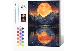 Auremi Montagne Peinture par numéros avec cadre inclus 20x30–Paysage Peinture par numéros DIY pour adulte–Tableau à peindre prêt à accrocher–Idéal déco murale maison et détente artistique