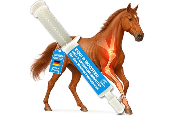 MSM Cheval écorce de Saule Cheval Equi P Pâte vitaminée Plus glucosamine chondroïtine Haute Dose Cheval Vitamine C levure de bière - Appareil locomoteur articulations tendons ligaments Cartilage 1pc