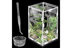 Terrarium à escargots en acrylique 360° : WIYETY Mini terrarium en acrylique transparent, boîte d'alimentation pour reptile, scorpion, coléoptère, mante-religieuse, reptile (20 x 12 x 12 cm)