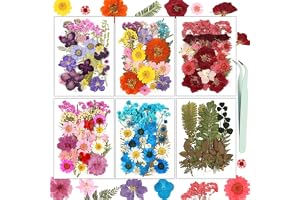 Resiners 174 st torkade blommor pressade färgglada blandade riktiga blommor torkade blad kit för hartshantverk smycken gör sc