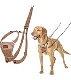 Servicehundeweste Mit No-Pull Geschirr & Leine – Reflektierend & Bequem Für Mittelgroße Hunde
