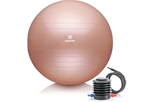 BODYMATE Ballon Fitness + Pompe Incluse + E-Book Gratuit - Différentes Tailles & Coloris