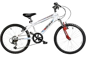 Dallingridge Brave Junior Hardtail Mountain Bike, 20" Wheel, 6 Speed - White/Red
