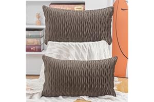 Madizz Pack of 2 Super Soft Velvet Decorative Cushion Covers with Texture Luxury Style Throw Pillow Cases Pillow Shell for Sofa Bedroom Brown 12x20 inch Rectangular