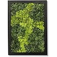 comforder Rectangular Real Moss Wall Art Picture 6.7x 9.4”/ 17x24cm, Preserved Moss Wall Art with Wooden Frame, Natural Wall Décor for the Living Room