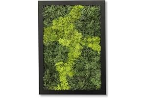 comforder Quadro Muschio Stabilizzato Rettangolare (17x24 cm), Muschio Stabilizzato con Cornice in Legno, Muschio Vero per Decorazione da Parete Soggiorno