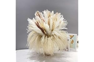 HILEYU 80 pezzi Set di piante per erba di Pampa,40-45 cm Fiore di erba di pampa essiccato naturale fiori secchi decorativi Decorazione di erba di canna di erba secca per matrimoni,feste,decorazioni Boho
