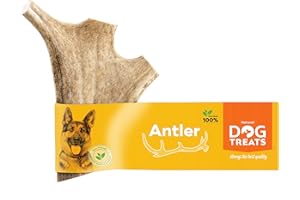 NATURAL DOG TREATS 100% Naturel Bois de Daim pour Chien - Jouet à Mordre Os Corne a Mâcher - Jouet Chien - Corne de Cerf pour Chien - Taille M (76-100gr)