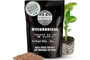 Inoculant mycorhizien de DYNOMYCO – Souches hautes performances – Formule concentrée – Améliore l'absorption des nutriments – Augmente les rendements des plantes (340 g/Up to 68 Plants)