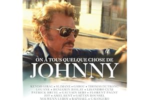 On A Tous Quelque Chose De Johnny