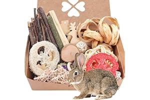 LLGLTOMO Rabbit Chew Toys Set, Small Animals Play Balls, Guinea Pig Toys Natural Timothy Hay Sticks, Improve Pets Dental Health for Bunny, Chinchilla, Guinea Pigs, Hamsters, Gerbils, Rats