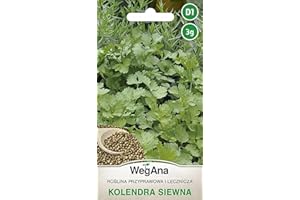 WegAna Semillas de Cilantro 3g, Semillas de Hierbas Semillas de Cilantro Semillas de Hortalizas Robustas Semillas de Hortalizas Semillas de Cultivo