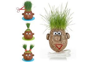 MISTER CURIOSITIES Tête d’herbe à faire pousser - Monsieur gazon, plante insolite, grasshead cheveux naturel - Décoration amusante et ludique, expérience jardinage - Petit modèle 5 cm sans support