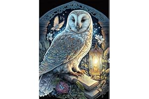 AIRDEA 5D Owl Diamond Art Painting Kits for Adults Beginners Round Full Kits DIY Snowy owl Diamond Art Kits Messenger Diamond Art Painting by Number Kits Owl Gem Painting Art 12x16inch
