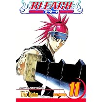 Bleach: v. 11: A Star and a Stray Dog: Volume 11 : Kubo