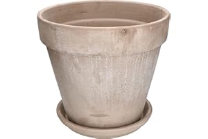 KOTARBAU® Maceta con Plato de Terracota 31 cm para Interiores y Exteriores, Tiesto para Plantas, Arcilla de Terracota, Maceta para balcón o jardín, Cerámica sin esmaltar, con Aspecto rústico