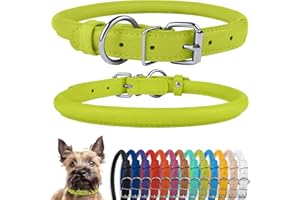 CollarDirect Collier pour Chien en Cuir roulé, Collier pour Chiot Rond rembourré Doux, Collier en Cuir véritable Fait à la Main pour Petit Grand Chat, 13 Couleurs (23-28 cm, Vert Citron texturé)