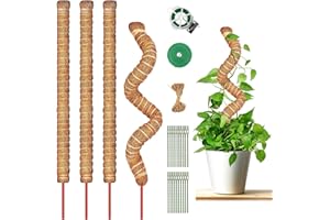 ZAKAZAKA Pflanzstab Kokos, 4 Stück 70 cm Monstera Rankhilfe Rankstab Moosstab Pflanzenstab, Kokosstab für Kletterpflanzen Pflanzenstütze, Haus Garten Pflanzen Unterstützung aus Kokosfaser (70cm)