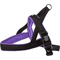 Pettorina Nobby Classic Per Cani - Taglia 60-76cm + 46cm, Larghezza 25-35mm | Arancione/Grigio - Foto 8