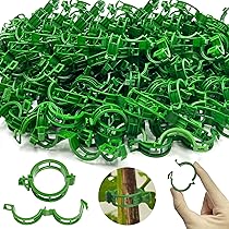 20 Pezzi Bastoni A Spirale Per Pomodori - Acciaio Zincato, Lunghezza 180 Cm, Per Piante Rampicanti - Foto 2