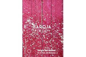 En el país del Bidasoa (BAROJA & YO)