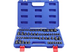 WORKPRO Chiavi a Bussola Torx da 60 Pezzi, 1/4", 3/8", 1/2" Attacco, T6-T70, TT6-TT70, TP8-TP60, E4-E24, con Scatola di Conservazione