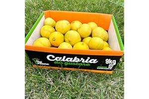 Bergamotto Fresco di Reggio Calabria - Agrume fresco 100% Naturale - Buccia edibile non trattata- Val D'Esaro (Box da 9 Kg)
