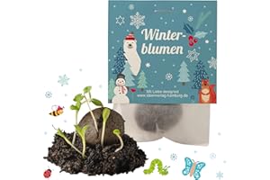 IDEENVERLAG-HAMBURG 10x "Winterblumen" Winter Samenbomben Kindergeburtstag / treiben aus bei Kälte! / Geschenke Mitgebsel - Kinder Geburtstag Mitbringsel - Kleinigkeit give-away
