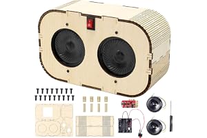 DIY Bluetooth-högtalare - Elektronikbyggsats - Vetenskapliga experiment i trä för tonåringar - Bluetooth STEM-högtalare - Bra